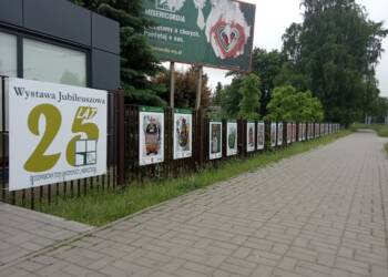 354576325 266368096042007 8491094310311343865 n 2023 06 20 093214