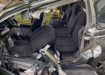 355393394 258925900071899 5211483737637637859 n 2023 06 20 202617