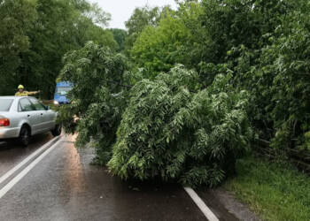 355516265 740167801232244 675387677745472256 n 2023 06 23 130537