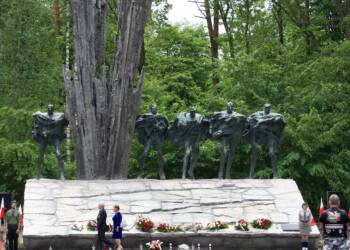 660dce01 7dbd 4dee 8db3 0a3728574f25 2023 06 11 175843