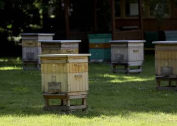 89067e91 23ca 4683 b425 294d98dee0c4 2023 06 05 000916