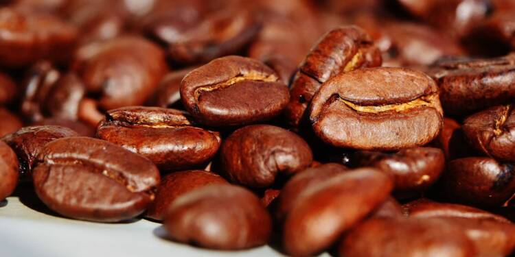 coffee beans g0b29f1e36 1920 2023 06 22 113619