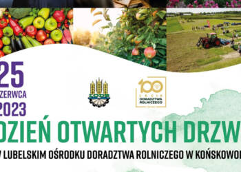 dod2023 plakat 2023 06 25 100853