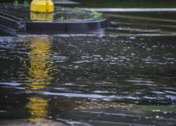 dsc 3090 2023 06 18 161412