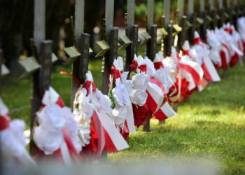 dsc 3737 2023 06 25 203830