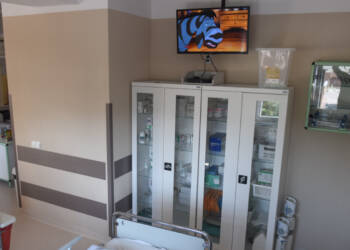 dsc 4437 2023 06 21 120913