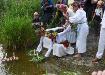 dsc 5910 2023 06 24 081849