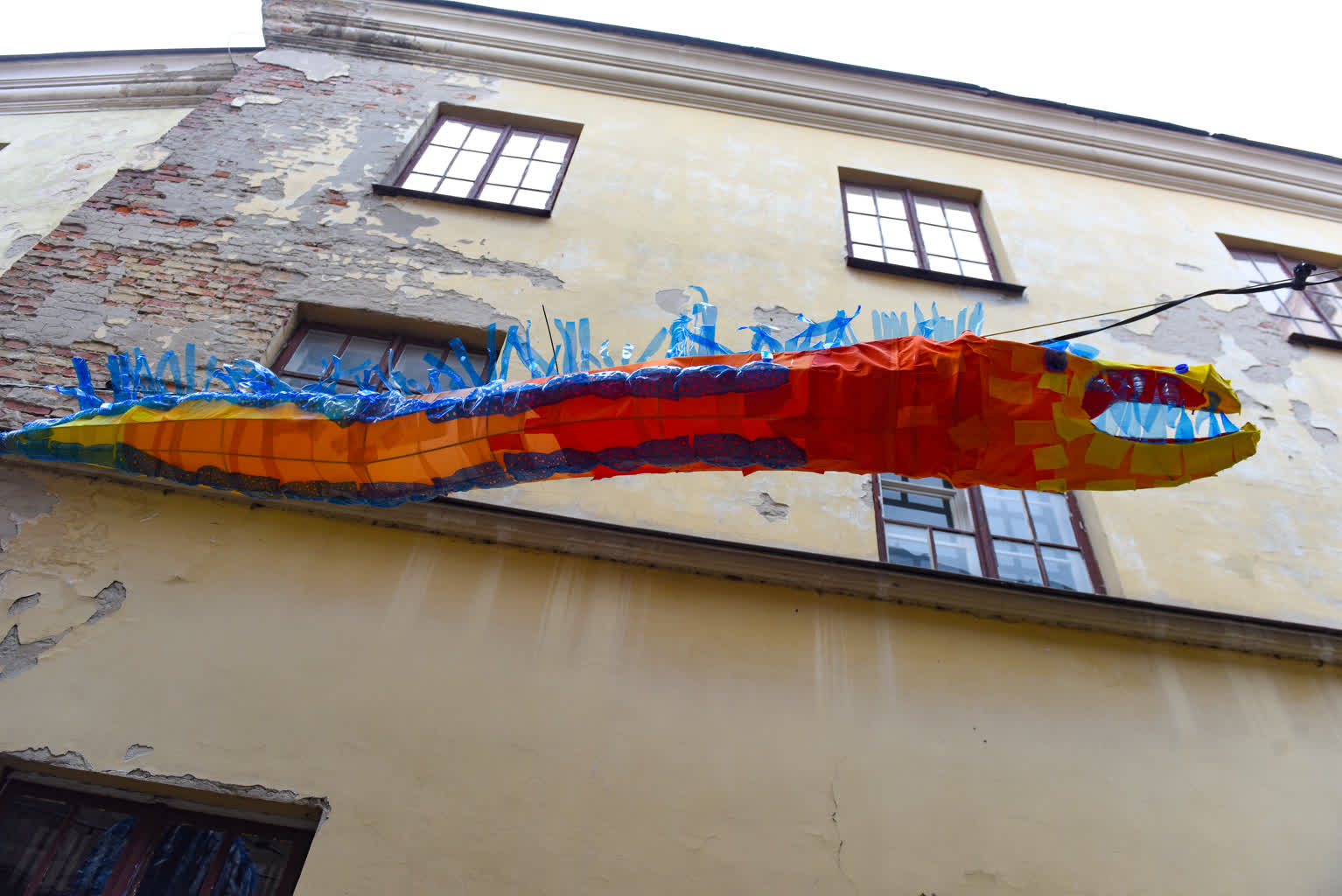 Zieleń i łączenie kropek. Noc Kultury w Lublinie 2 DSC_6948.jpg