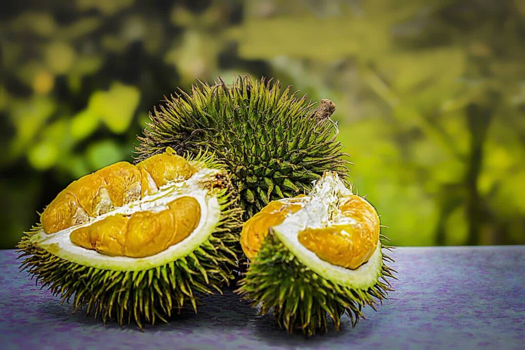 durian 3597242 1280 2023 06 21 141656