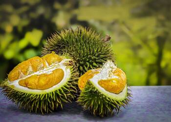 durian 3597242 1280 2023 06 21 141656