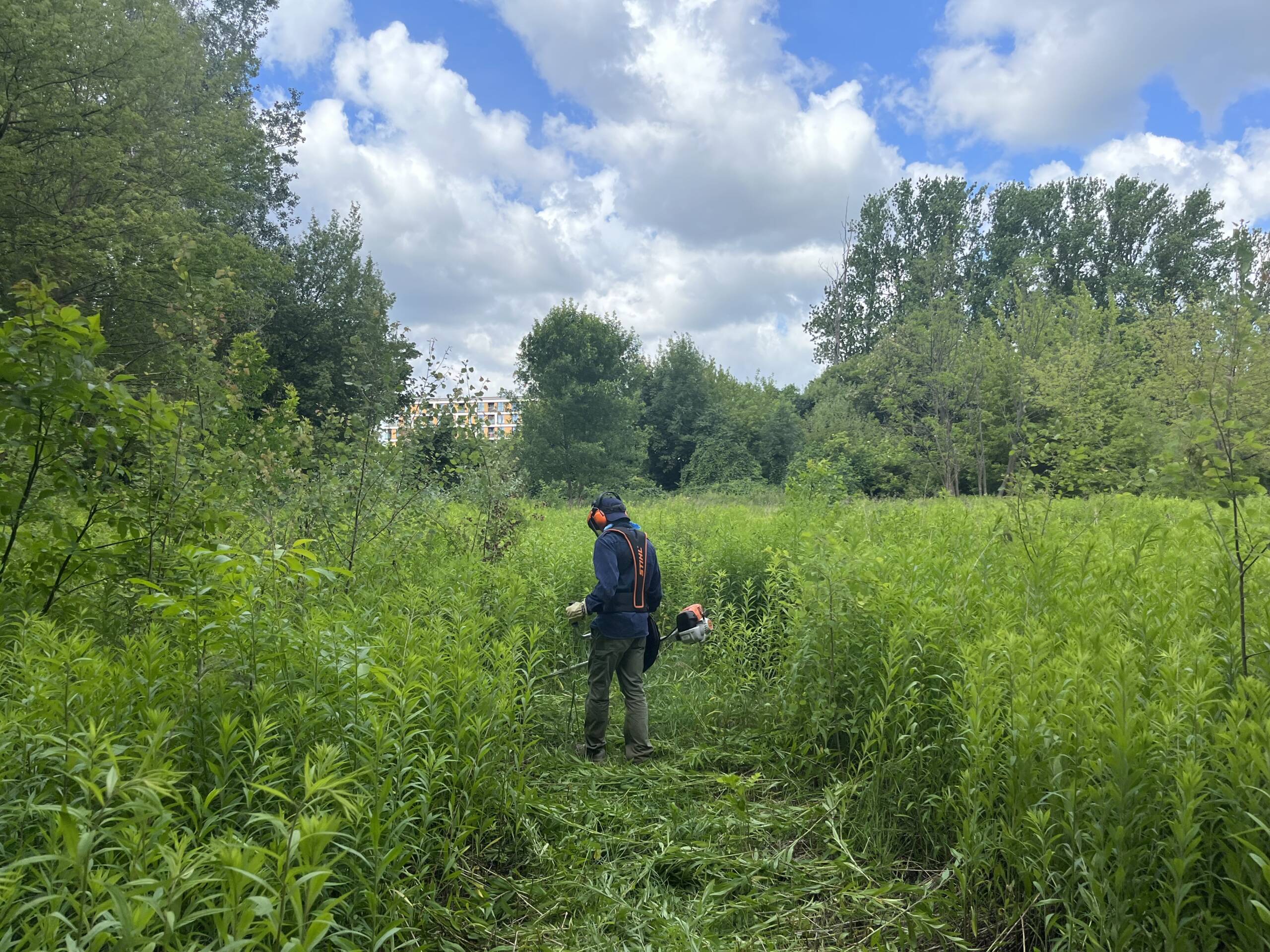 Pielęgnują historię. Wolontariusze sprzątają żydowskie cmentarze 2 image_50405121.JPG