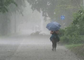 img 20220613 163000 2023 06 23 094832