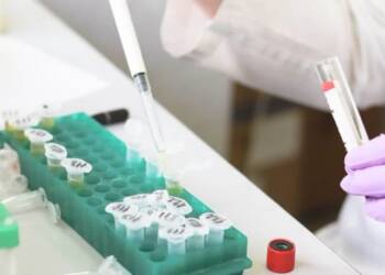 lek 2020 12 01 173552 2021 04 20 115145 2022 02 01 122840 2023 06 20 090253