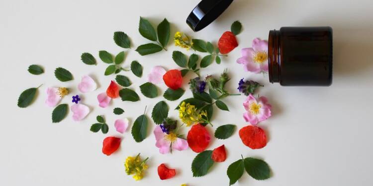 natural cosmetics 3397277 1280 2023 06 17 102248