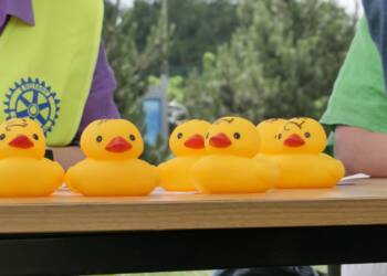 p1200087 2023 06 25 173536