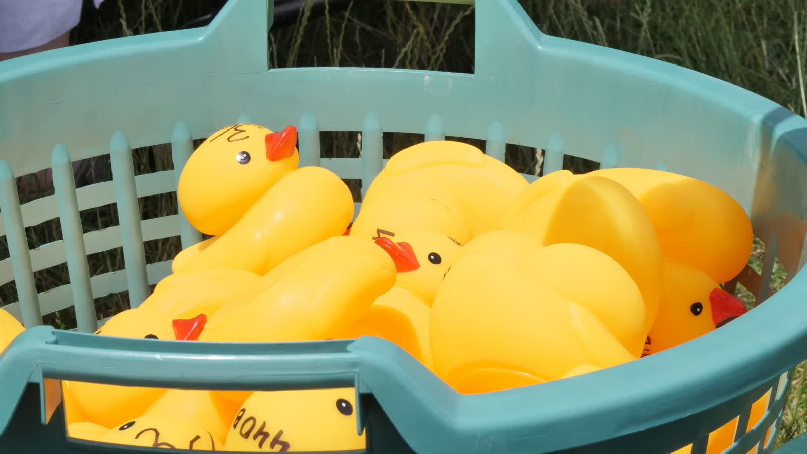 25.06.2023 Podróże małe i duże 2 P1200096.JPG