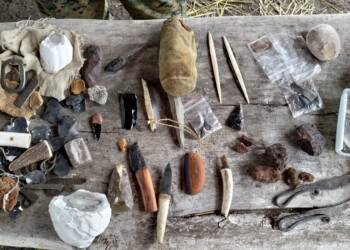 p 20230618 130216 2023 06 18 170329