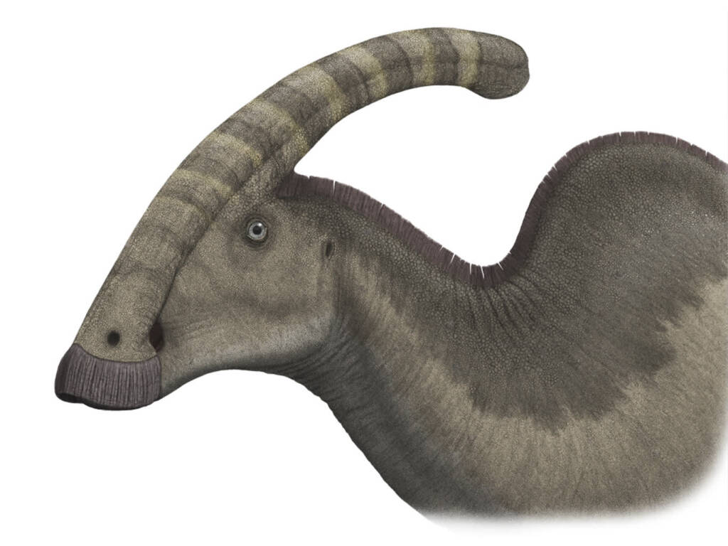 parasaurolophuspic steveoc 2023 06 17 111823