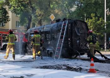 20230715 173424 2023 07 15 174856