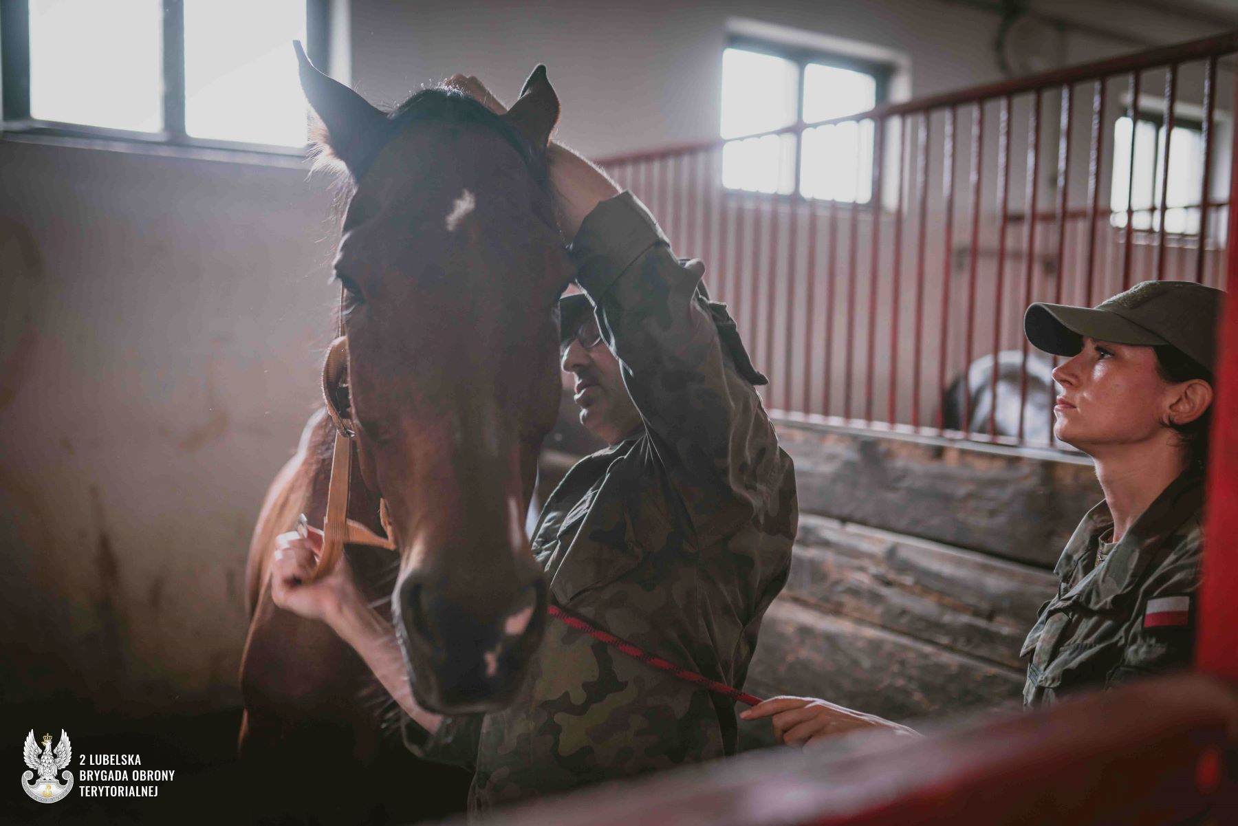 Terytorialsi w siodle. Ćwiczyli wspólnie z Brytyjczykami 3 2LBOT szkolenie w siodle_5.jpg