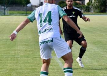 347560010 817874273382689 6272278146949295971 n 2023 07 13 093215