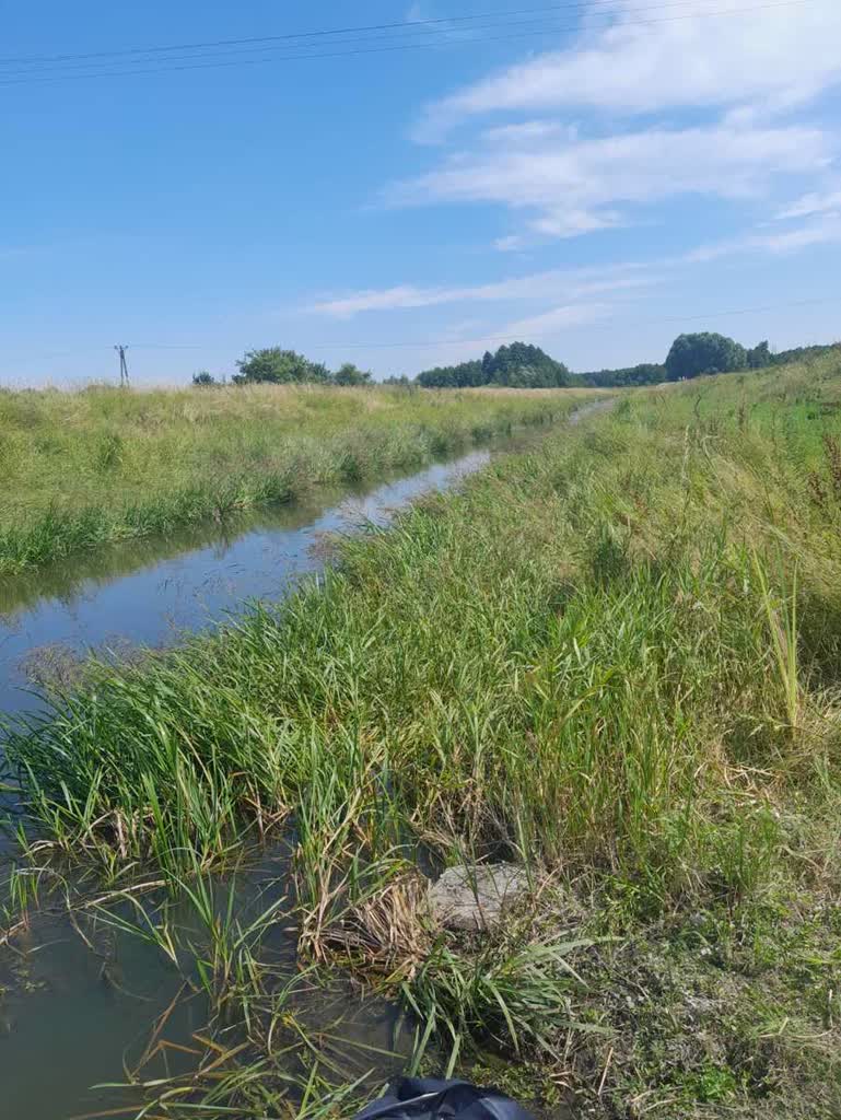 Zwłoki w kanale Wieprz-Krzna 2 351-224594.jpg