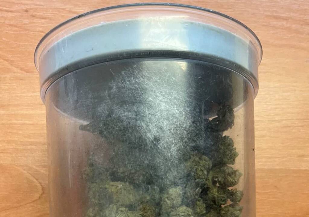 355 225401 2023 07 24 200742