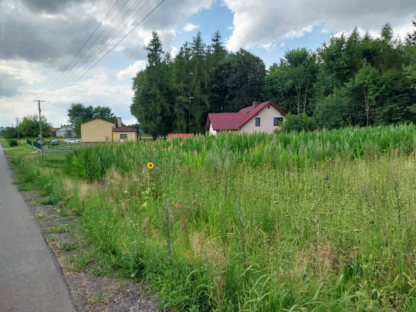 Wielka farma fotowoltaiczna tuż przy zabudowaniach. Mieszkańcy protestują 3 363017287_1052632862842164_4776105321577455414_n.jpg