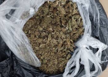 68 224752 2023 07 15 151249