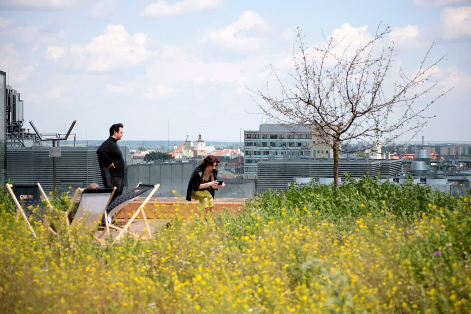 2023 rok będzie najcieplejszym rokiem na świecie. Nas czeka ekstremalnie ciepłe lato 2 csk.jpg