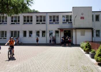 decb8fe9 894d 4df4 a234 7abb7a1edf5f 2023 07 19 184857