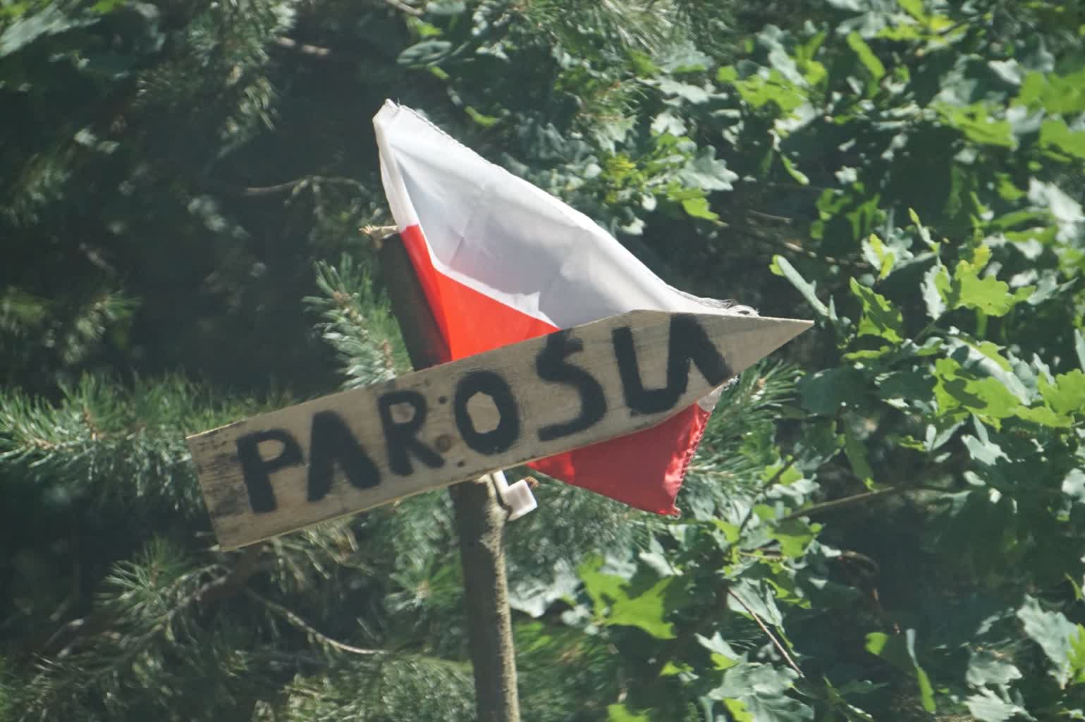 „Stańmy w prawdzie”. Msza polowa w ukraińskiej Parośli 2 DSC00619.JPG