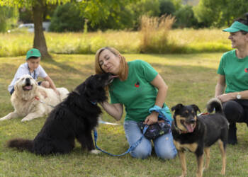 dsc03188 2023 07 23 082804