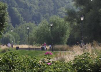 e49deb3e 6474 49f8 80bd 4a4582c9b489 2023 07 06 120957