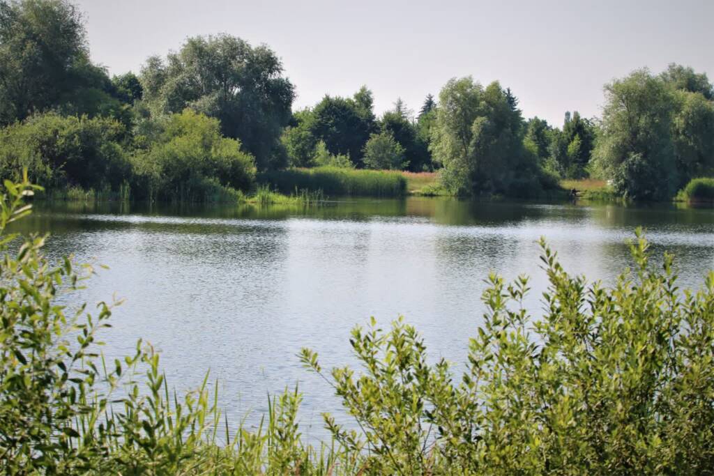 glinianki zdjecie 2023 07 09 160519