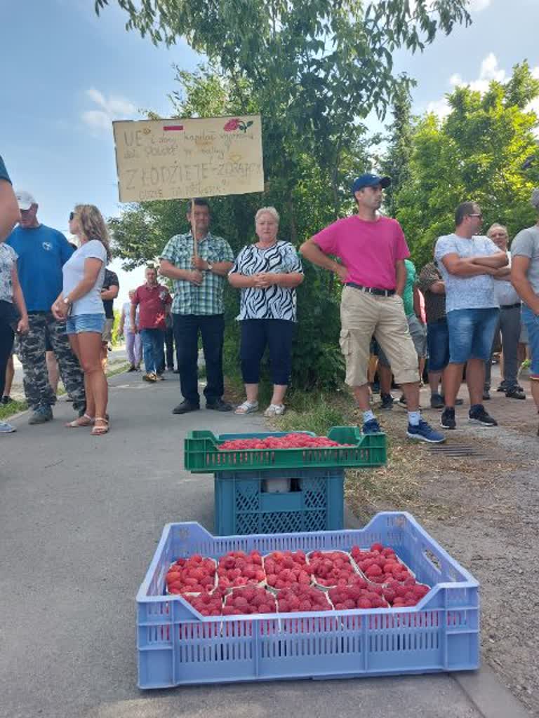 Plantatorzy protestują przeciwko niskim cenom skupu malin 3 image0000001.jpeg