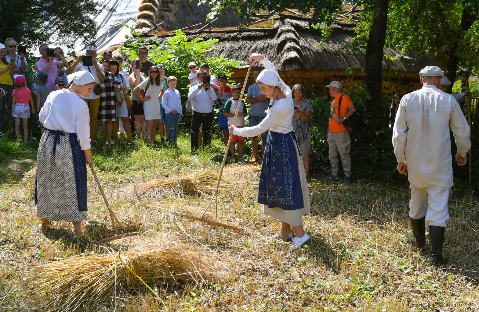 Żniwowanie jak za dawnych lat. Tłumy w skansenie 2 KRA_1816.jpg