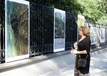 p7290106 2023 07 30 093748