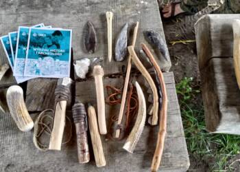 p 20230618 130302 2023 07 09 174303