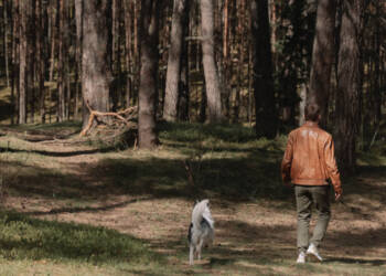 pexels elina volkova 16667564 2023 07 01 114933