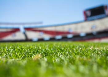 pexels juan salamanca 61143 2023 07 28 201010