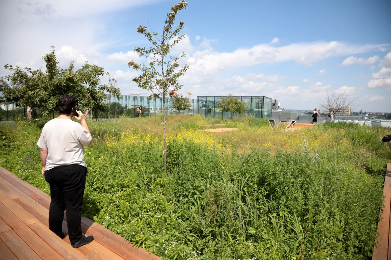 Będą kolejne rekordy ciepła. To oznacza susze, powodzie oraz inne kłopoty 2 pm_dach-290623-007-2023-06-29-175747.jpg