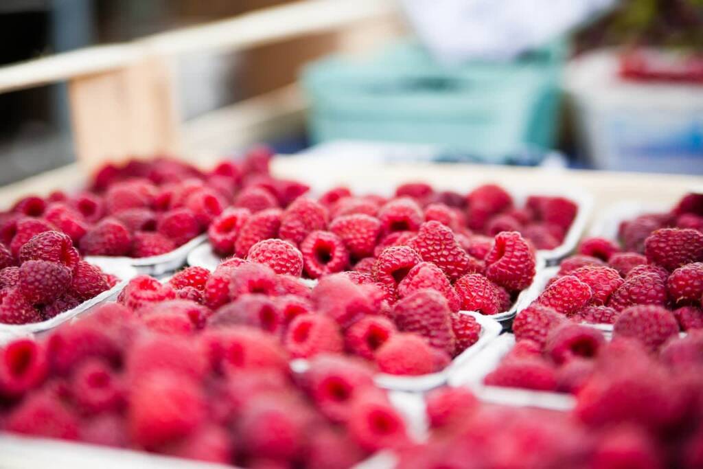 raspberries 422979 1920 2021 07 28 185412 2023 07 13 135648