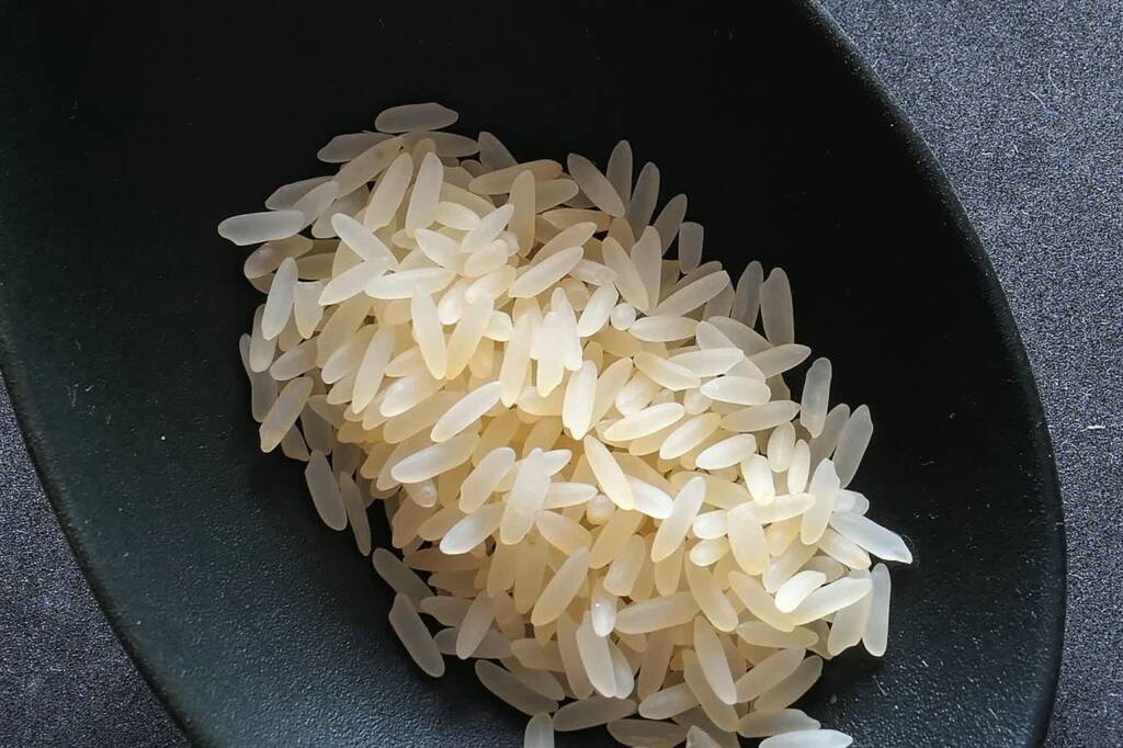 rice g30f156f14 1280 2023 07 10 101248