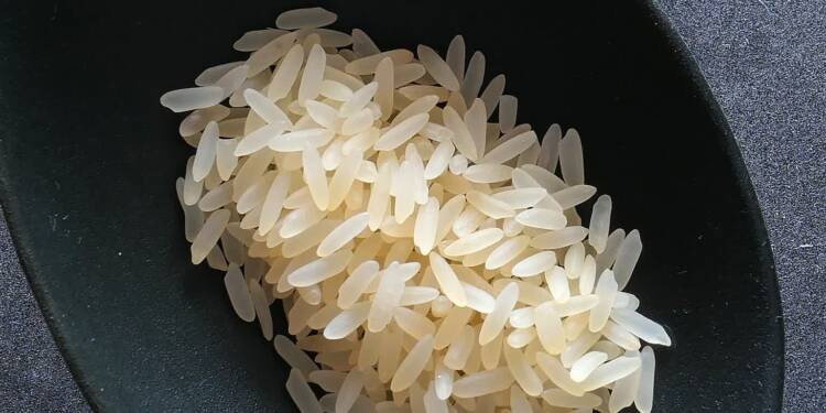 rice g30f156f14 1280 2023 07 10 101248