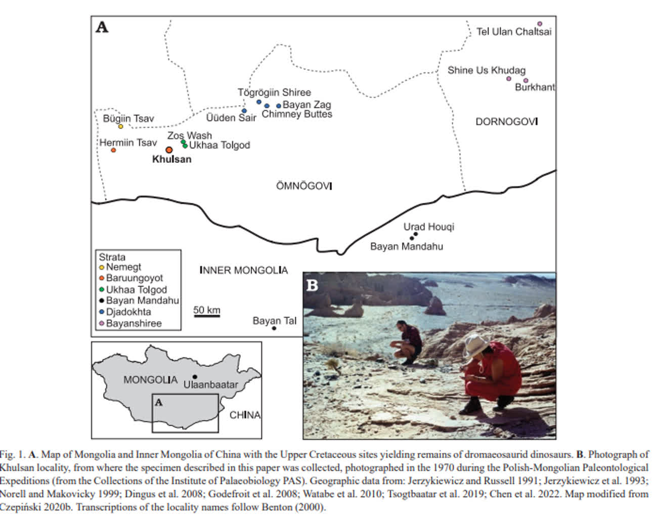 "Bezgłowy" dinozaur, odnaleziony przez polską ekspedycję, odzyskał czaszkę 2 screen3.PNG