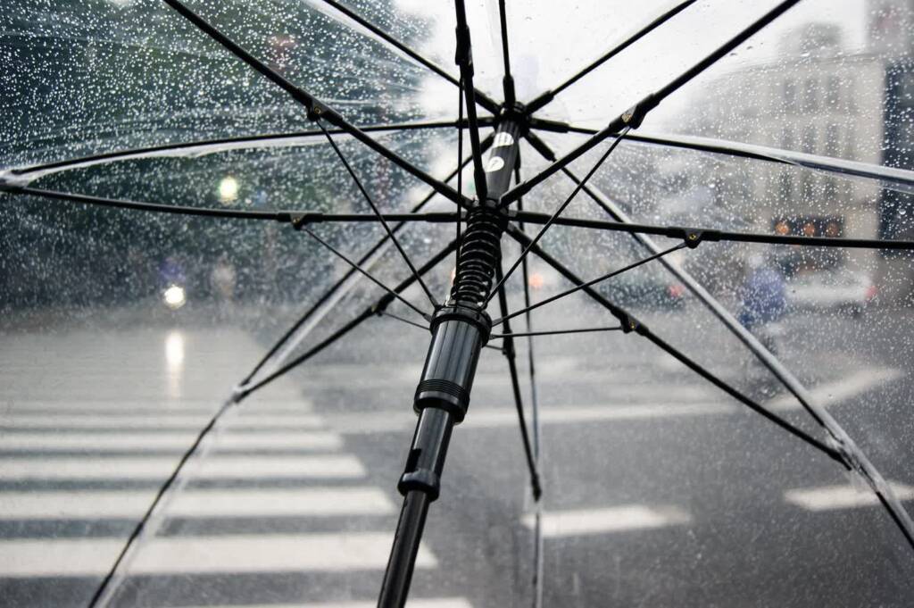 umbrella g94a079213 1920 2023 06 23 095107 2023 07 20 072029