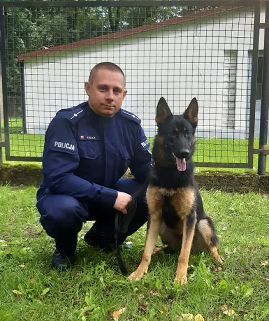 Policyjny pies wyczuł kłamstwo kierowcy 2 343-226387.jpg