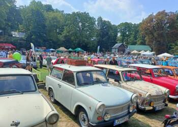 368934453 1003132104168834 5700611133278134924 n 2023 08 20 141656