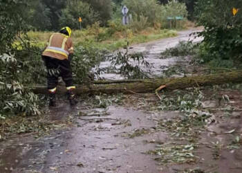 370586050 695795005923593 4461157940823896855 n 2023 08 30 145232